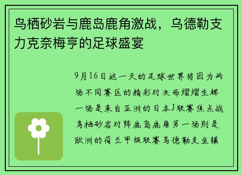 鸟栖砂岩与鹿岛鹿角激战，乌德勒支力克奈梅亨的足球盛宴