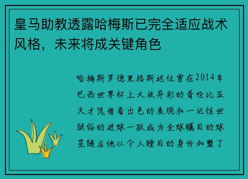 皇马助教透露哈梅斯已完全适应战术风格，未来将成关键角色