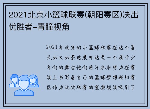 2021北京小篮球联赛(朝阳赛区)决出优胜者-青瞳视角